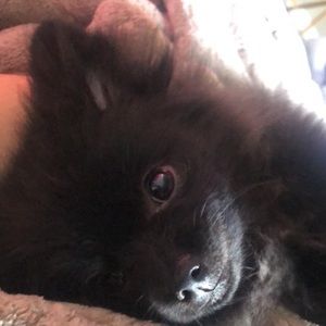 Meet your Posher, Estefania